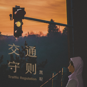 aaa成人在线视频电影
