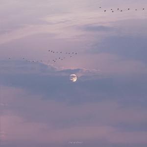 aaa成人在线视频电影
